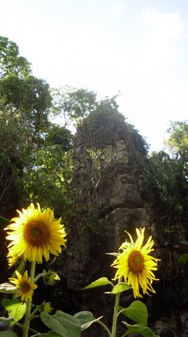 Beleza Cênica 